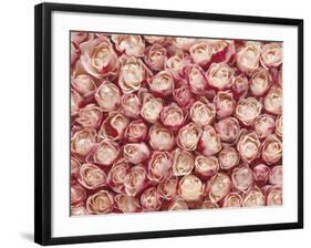 Roses-Brigitte Wegner-Framed Photographic Print