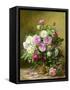 Roses-Albert Williams-Framed Stretched Canvas