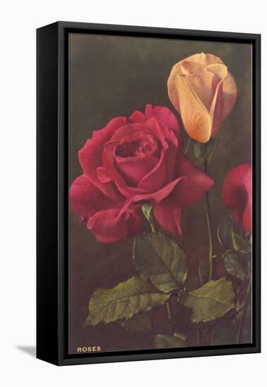 Roses-null-Framed Stretched Canvas