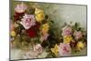 Roses-Alice B Chittenden-Mounted Premium Giclee Print