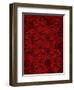 Roses-Rabi Khan-Framed Art Print