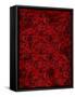 Roses-Rabi Khan-Framed Stretched Canvas