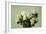 Roses-Henri Fantin-Latour-Framed Giclee Print