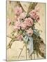 Roses-Madeleine Lemaire-Mounted Premium Giclee Print