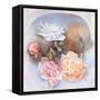 Roses-Judy Mastrangelo-Framed Stretched Canvas