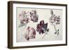 Roses-Sir Lawrence Alma-Tadema-Framed Giclee Print