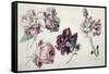 Roses-Sir Lawrence Alma-Tadema-Framed Stretched Canvas