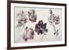 Roses-Sir Lawrence Alma-Tadema-Framed Giclee Print