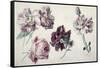 Roses-Sir Lawrence Alma-Tadema-Framed Stretched Canvas