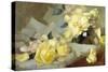 Roses-James Stuart Park-Stretched Canvas