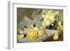 Roses-James Stuart Park-Framed Giclee Print