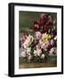 Roses-Cristofano Allori-Framed Giclee Print