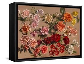 Roses-Richard Foster-Framed Stretched Canvas