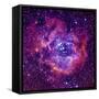 Rosetta Nebula-mironov-Framed Stretched Canvas