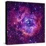 Rosetta Nebula-mironov-Stretched Canvas