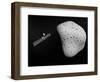 Rosetta Probe and Comet 67P Churyumov-Gerasimenko-null-Framed Art Print