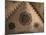 Rosette, Fresco, 1459 Gothic, Chapel of the Three Kings (Named by Christian I)-null-Mounted Photographic Print