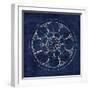 Rosette III Indigo-Wild Apple Portfolio-Framed Art Print