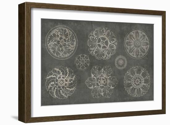 Rosette IX Gray-Wild Apple Portfolio-Framed Art Print