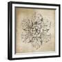 Rosette V Neutral-Wild Apple Portfolio-Framed Art Print