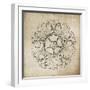 Rosette VI Neutral-Wild Apple Portfolio-Framed Art Print