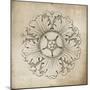 Rosette VI Neutral-Wild Apple Portfolio-Mounted Art Print