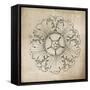 Rosette VI Neutral-Wild Apple Portfolio-Framed Stretched Canvas