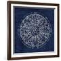 Rosette VIII Indigo-Wild Apple Portfolio-Framed Art Print