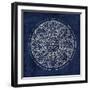 Rosette VIII Indigo-Wild Apple Portfolio-Framed Art Print