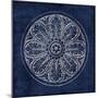 Rosette VIII Indigo-Wild Apple Portfolio-Mounted Art Print