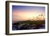 Rosey Sunset II-Alan Hausenflock-Framed Photographic Print