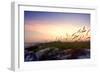 Rosey Sunset II-Alan Hausenflock-Framed Photographic Print