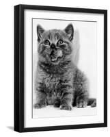 Rosie the Kitten Licking Her Lips, 1984-null-Framed Photographic Print