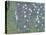 Rosiers sous les arbres-Gustav Klimt-Stretched Canvas