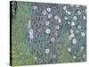 Rosiers sous les arbres-Gustav Klimt-Stretched Canvas