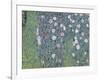 Rosiers sous les arbres-Gustav Klimt-Framed Giclee Print