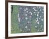 Rosiers sous les arbres-Gustav Klimt-Framed Giclee Print