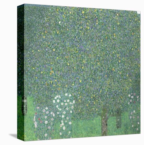 Rosiers sous les arbres-Gustav Klimt-Stretched Canvas