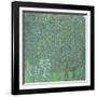 Rosiers sous les arbres-Gustav Klimt-Framed Giclee Print