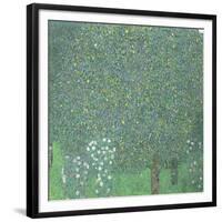 Rosiers sous les arbres-Gustav Klimt-Framed Giclee Print