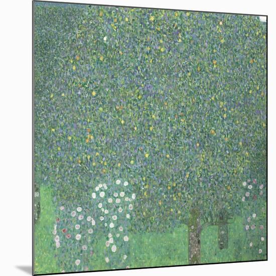 Rosiers sous les arbres-Gustav Klimt-Mounted Giclee Print
