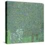 Rosiers sous les arbres-Gustav Klimt-Stretched Canvas