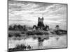 Ross Castle, County Kerry, Ireland, 19th Century-Weber-Mounted Giclee Print