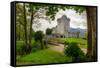 Ross Castle near Killarney, Co. Kerry Ireland-Patryk Kosmider-Framed Stretched Canvas