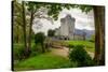 Ross Castle near Killarney, Co. Kerry Ireland-Patryk Kosmider-Stretched Canvas