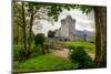 Ross Castle near Killarney, Co. Kerry Ireland-Patryk Kosmider-Mounted Photographic Print