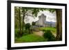 Ross Castle near Killarney, Co. Kerry Ireland-Patryk Kosmider-Framed Photographic Print