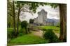 Ross Castle near Killarney, Co. Kerry Ireland-Patryk Kosmider-Mounted Photographic Print