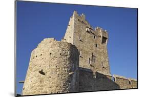 Ross Castle, on the shore of Lough Leane, Killarney National Park, Killarney, County Kerry, Munster-Nigel Hicks-Mounted Photographic Print