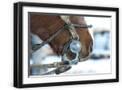 Black Frame